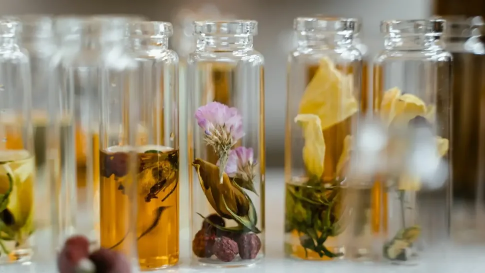 Fioles de matières olfactives avec fleurs et fruits séchés